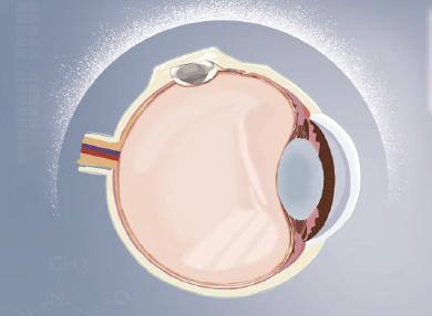 ag真人注册平台(中国游)官方网站