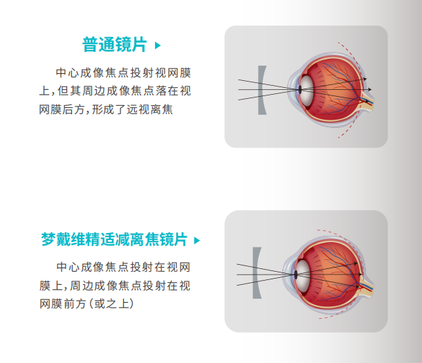 ag真人注册平台(中国游)官方网站